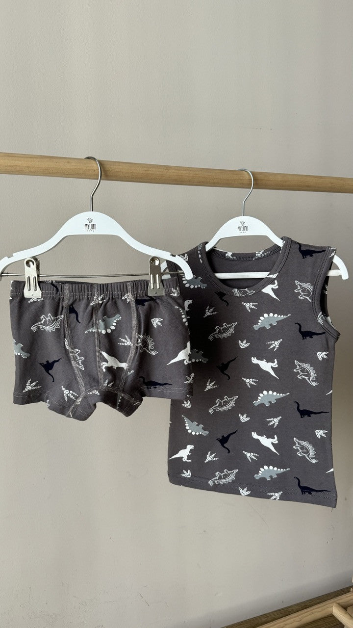 Dinozor Baskılı Erkek Çocuk Atlet Boxer Takım