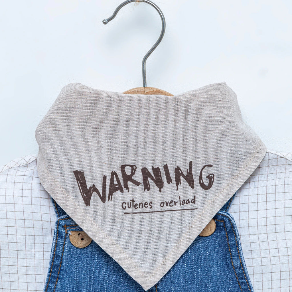 Mavi Ayıcık Figürlü Erkek Bebek Denim Tulum Takım