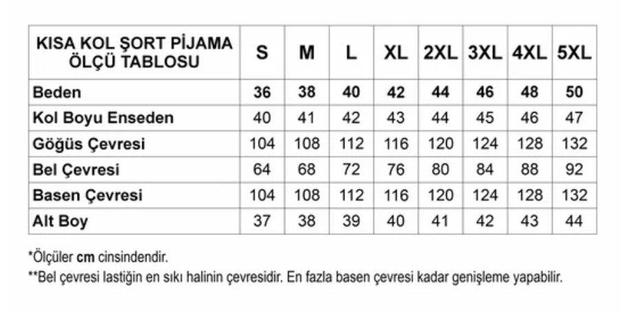 Siyah Saten Şortlu Kısa Kollu Gömlek Kadın Pijama Takımı