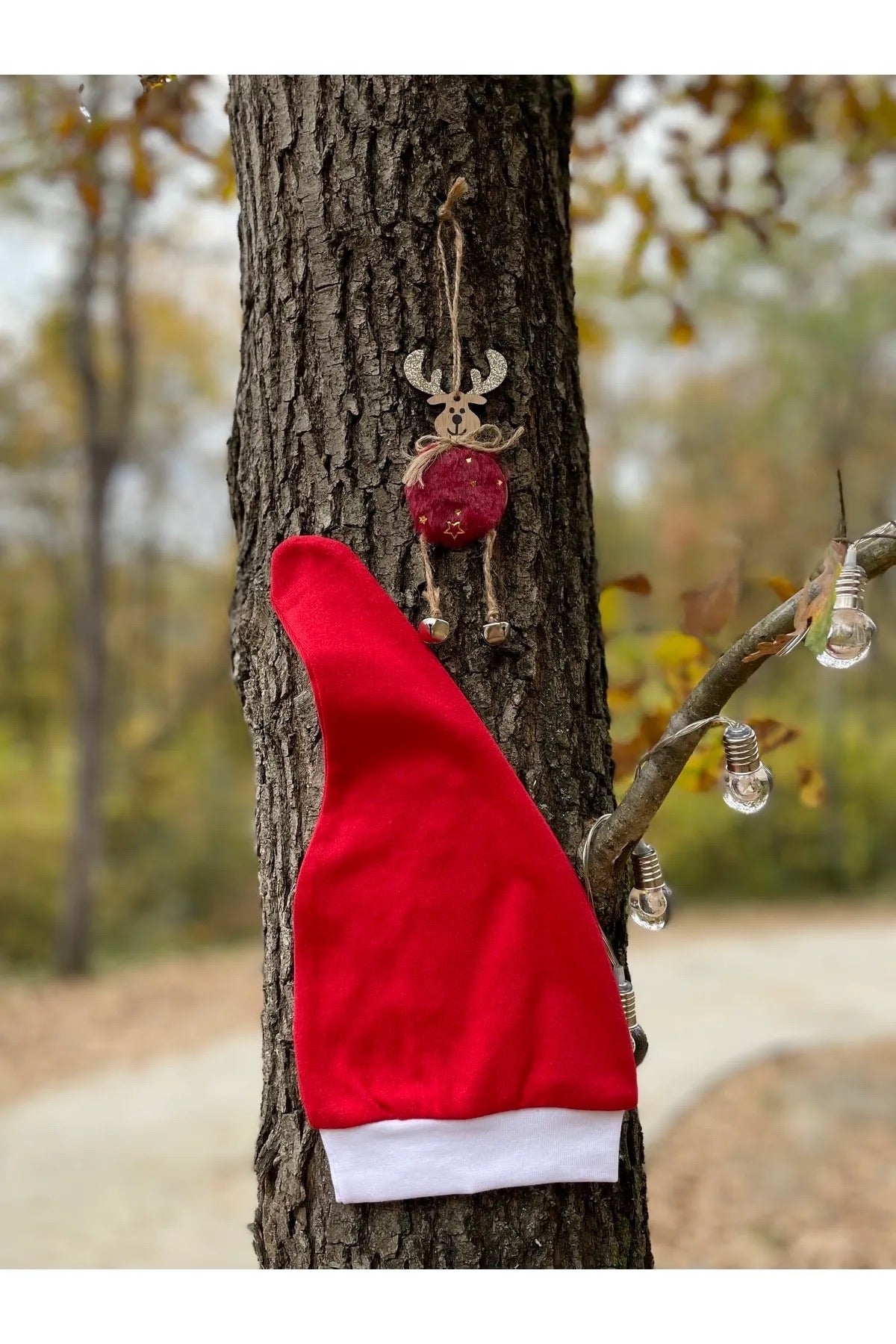 Yılbaşı Temalı Noel Baba ve Ren Geyiği Desenli 3'lü Bebek Takım